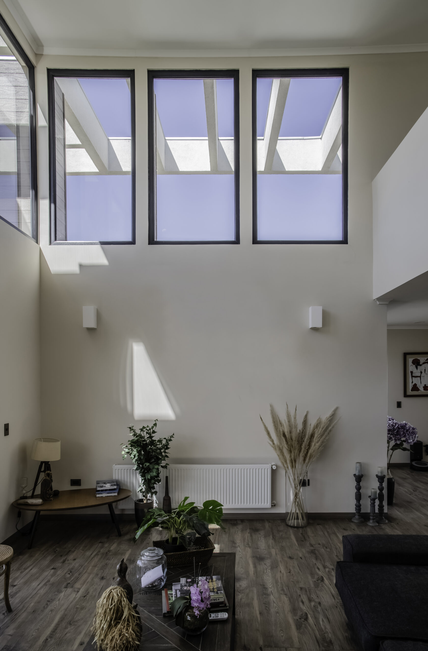 Galería del proyecto
